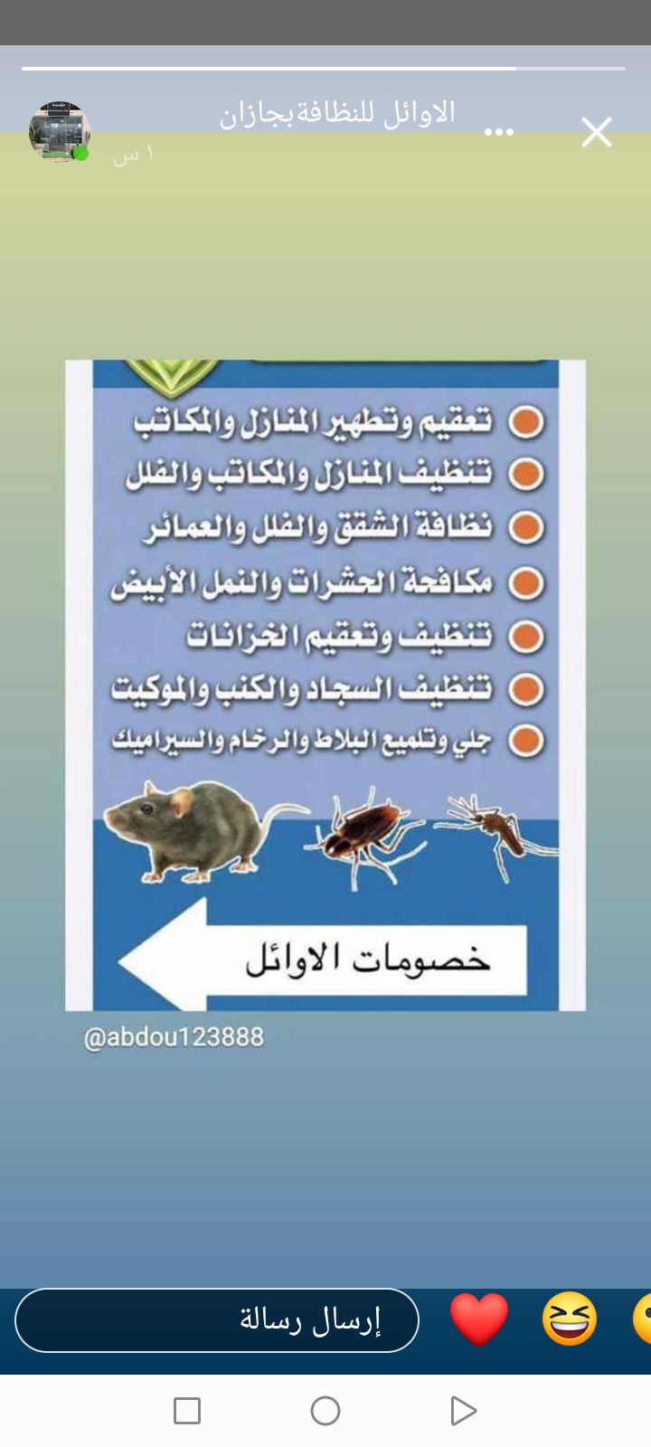 شركة مكافحة حشرات بالرياض